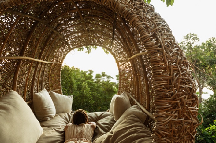Book a Luxurious Tree House on Your Next Getaway