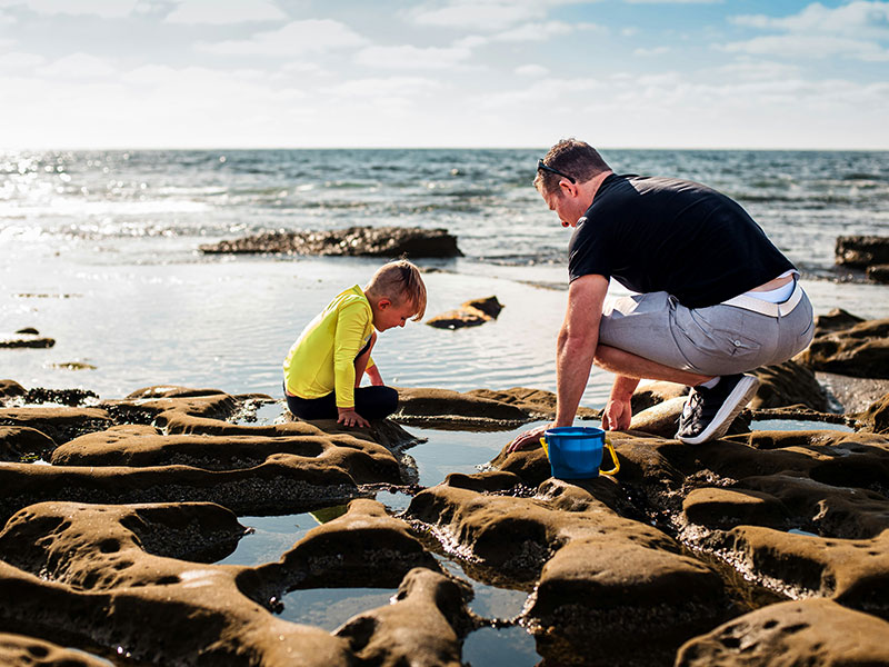 Father and Child on the shore