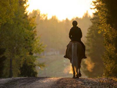 The most scenic horseback riding trails and riding spots in Orange County
