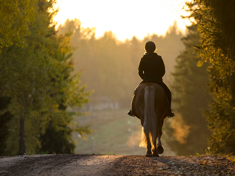 The most scenic horseback riding trails and riding spots in Orange County